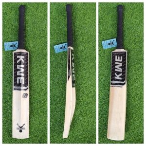 kashmir willow cricket bat