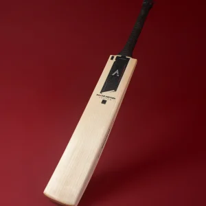 english willow cricket bat